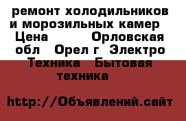 ремонт холодильников и морозильных камер › Цена ­ 100 - Орловская обл., Орел г. Электро-Техника » Бытовая техника   